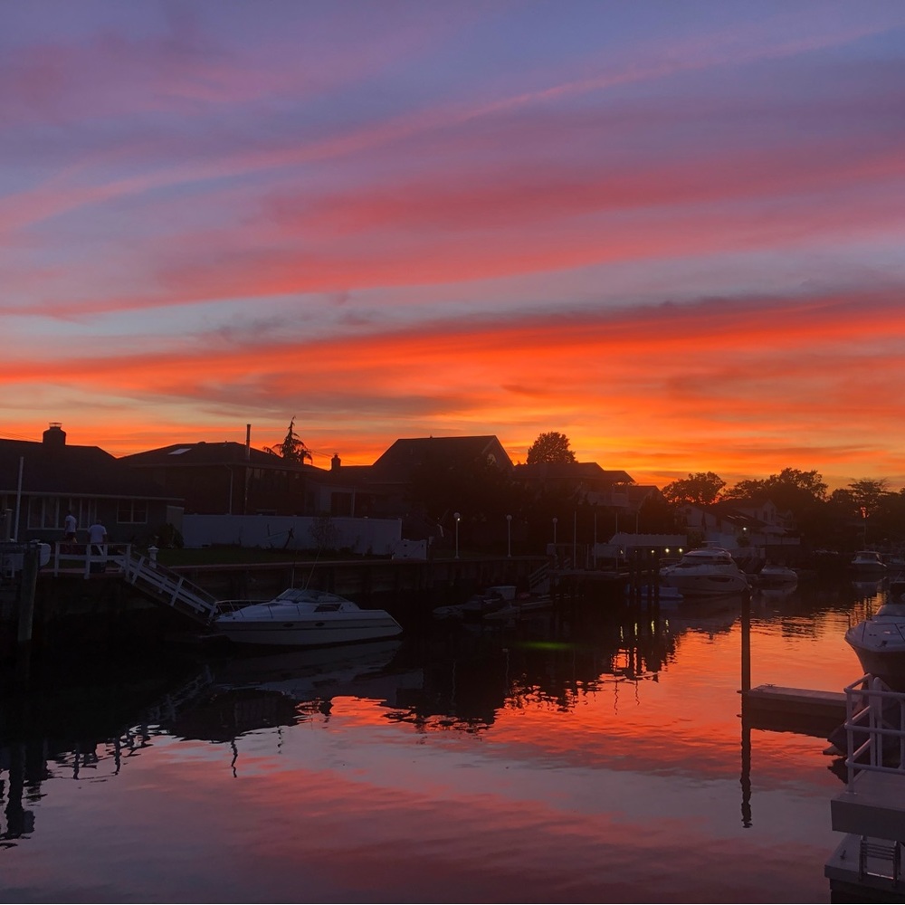 Meet your Posher, Shelby